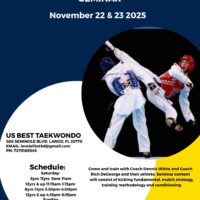 Level Elite Sport Taekwondo Seminar - Nov 22 & 23, 2025